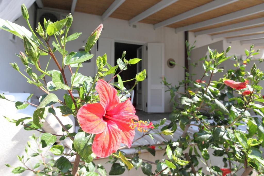 Villa Sea Rose リーパリ 部屋 写真